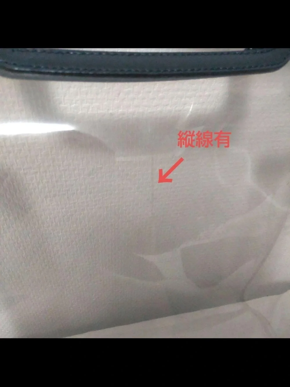 Gucci Clear PVC Tote with Black Trim and Inner Pouch